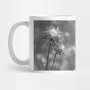 Two seed heads. Mug